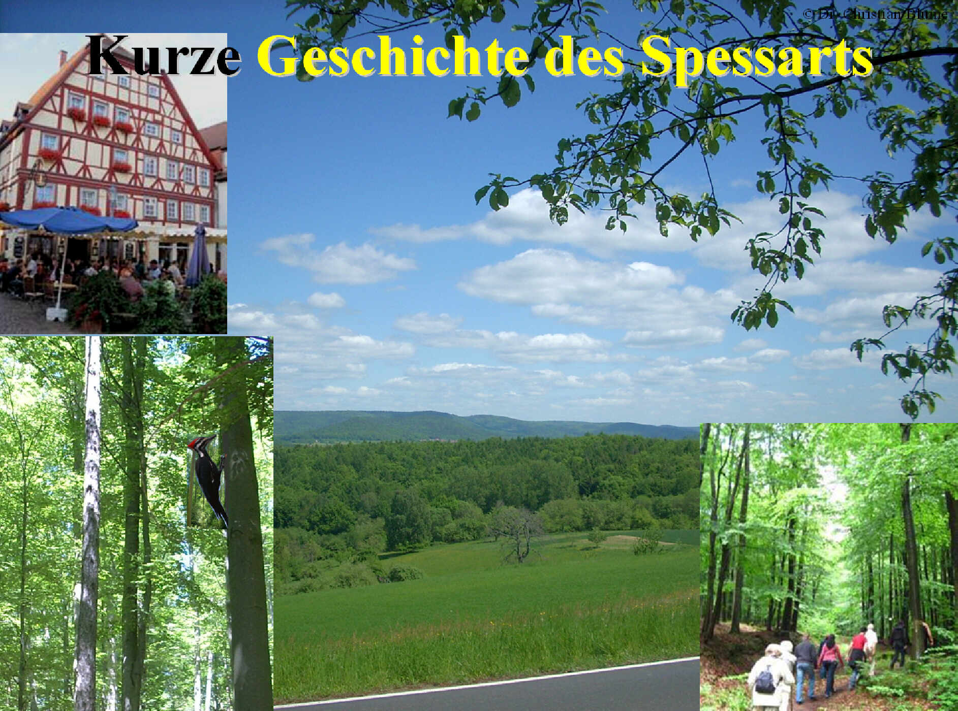 Spessart